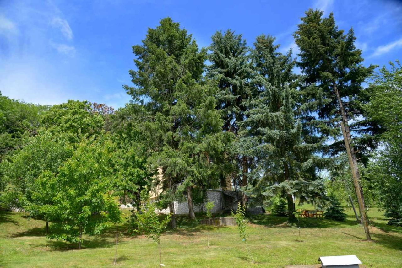 Zoja Apartment Връдник Екстериор снимка